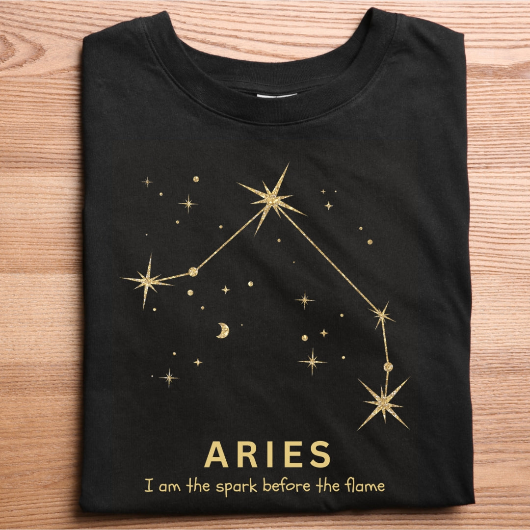 ARIES - Constellation