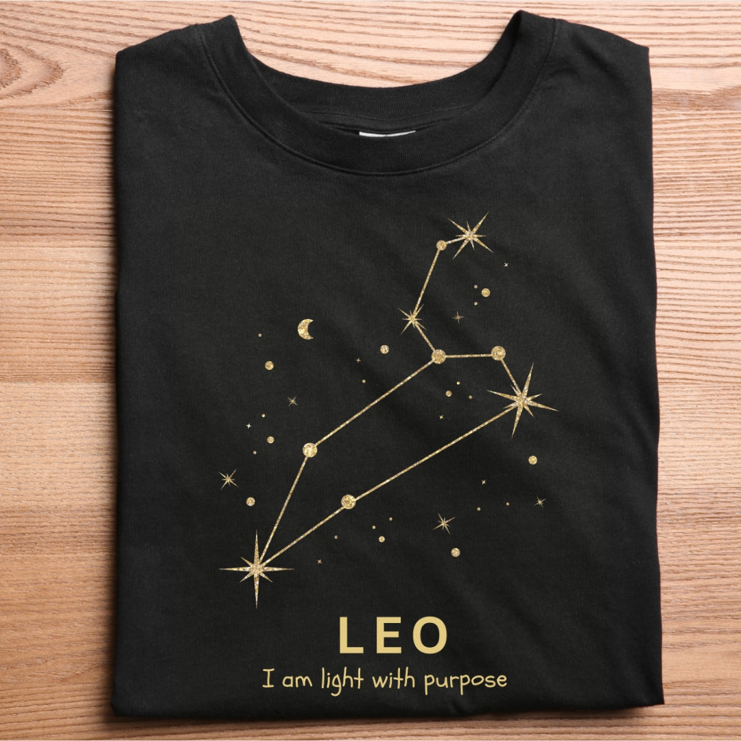 LEO - Constellation