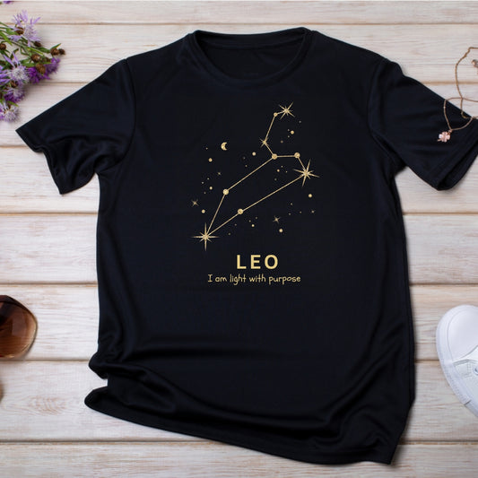 LEO - Constellation