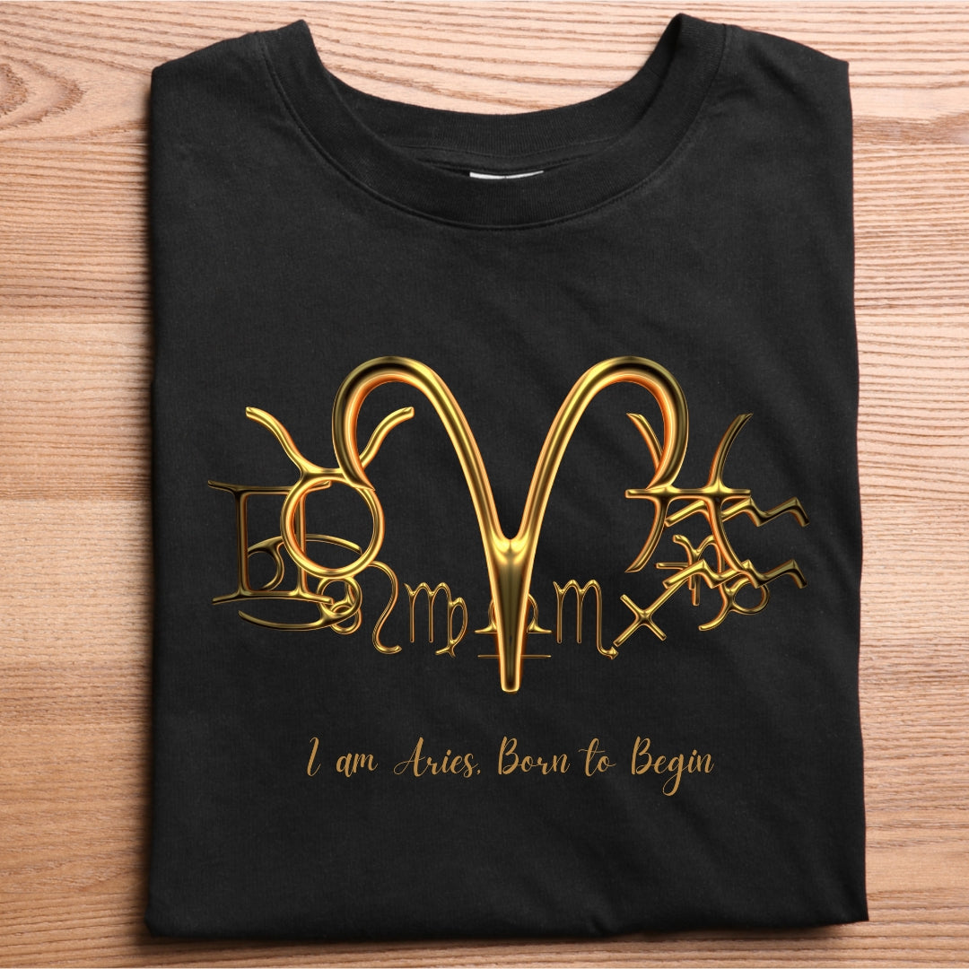 ARIES - Born To Begin