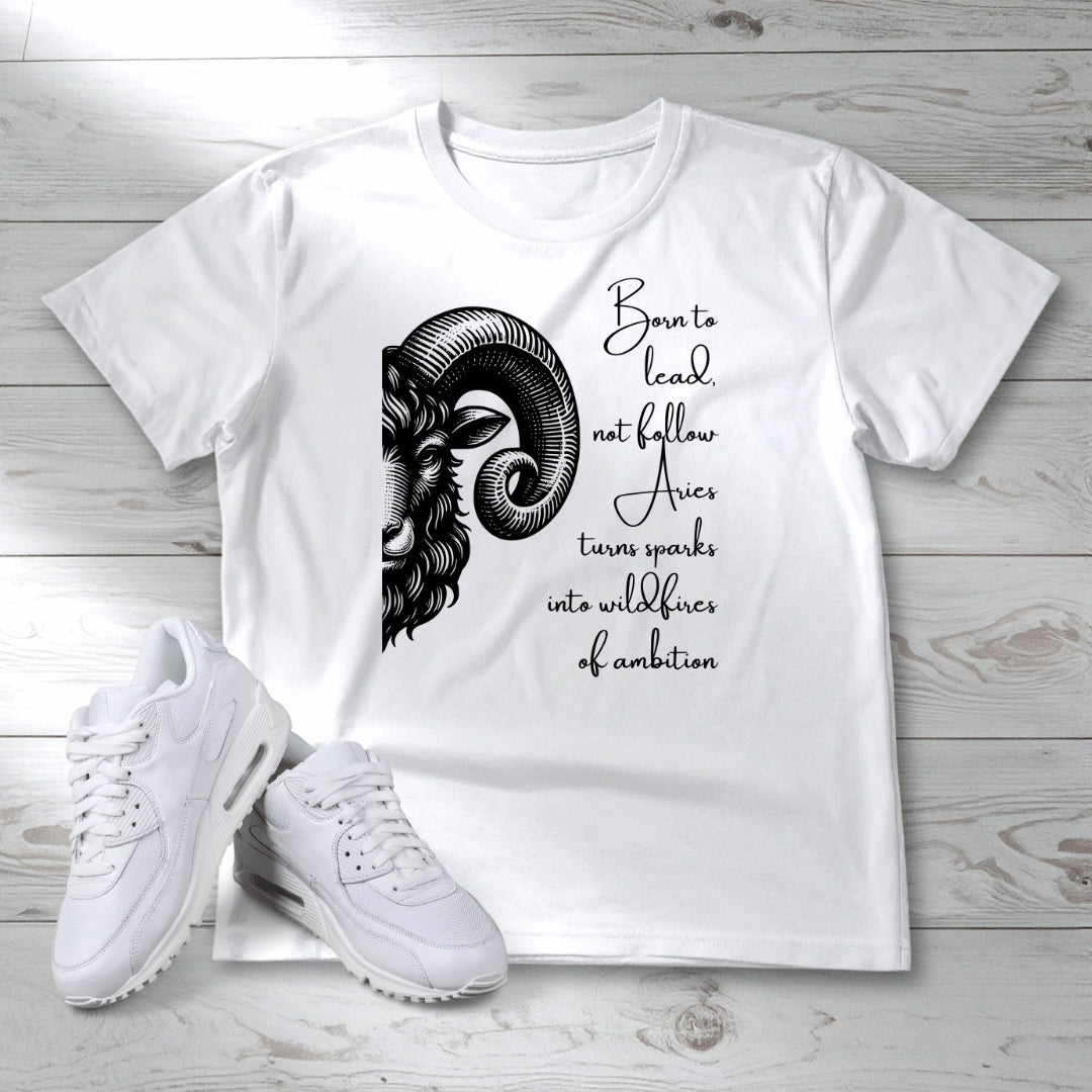 ARIES - Born to Lead Not Follow (B)