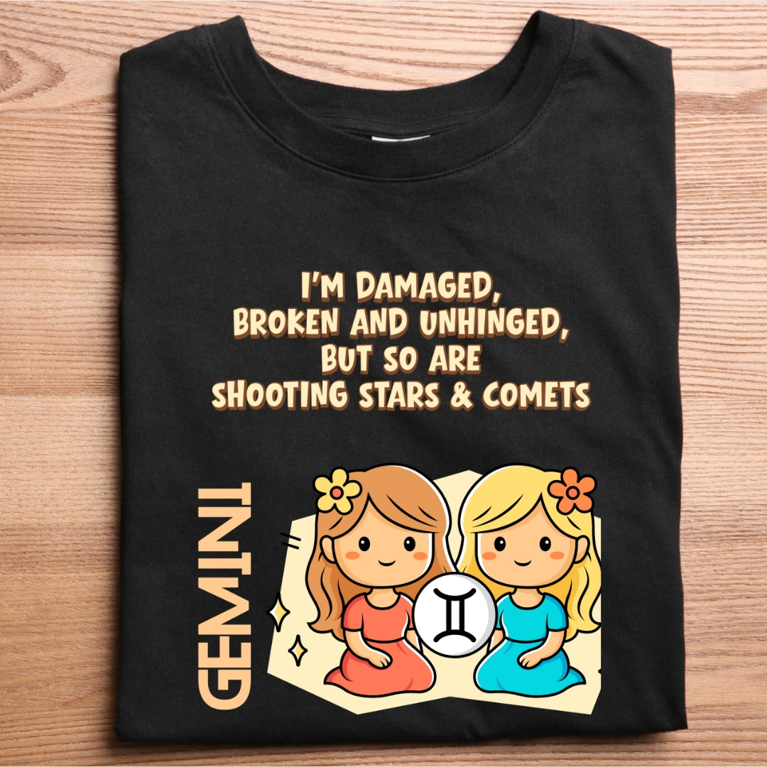 GEMINI - Cartoon